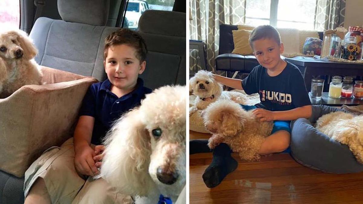 Un garçon adopté sauve de vieux chiens qui ont besoin d'un foyer comme lui