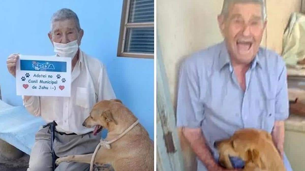 Un homme de 90 ans est tombé amoureux d'une chienne au refuge et l'a adoptée
