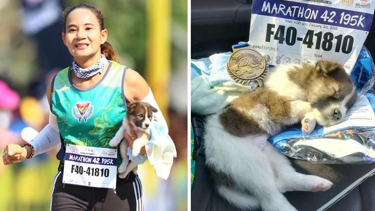 Une femme termine un marathon en transportant un chiot errant, elle s'est arrêtée pour le sauver en cours de route