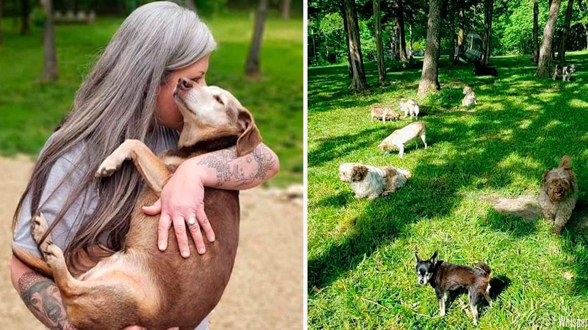 Une femme transforme sa maison en un hospice pour chiens et s'occupe désormais de 80 chiens à la fois