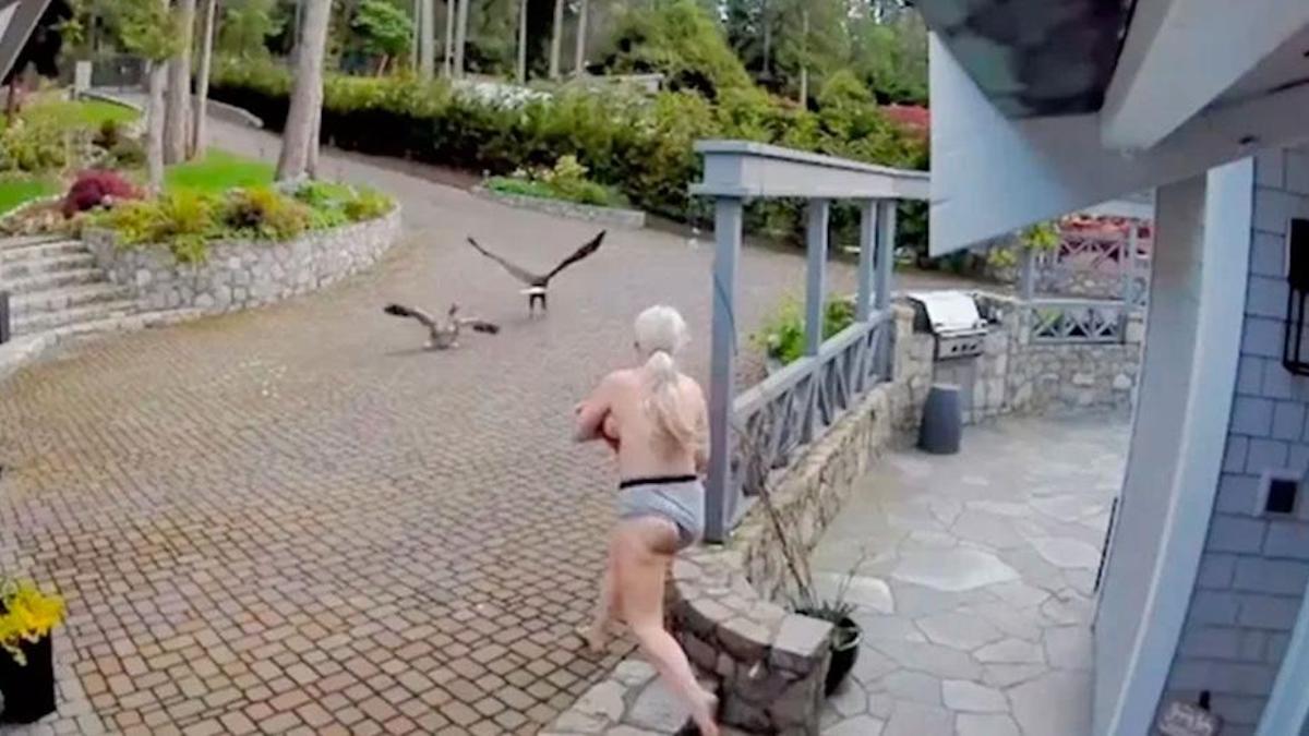 Vidéo : Presque nue et allaitant son bébé, une mère est sortie pour sauver son oie qui a été attaquée par un aigle