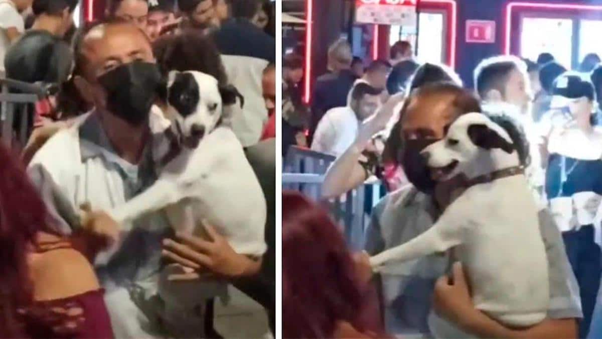 Vidéo : Un chien accompagne son maître en discothèque et ils envahissent la piste de danse