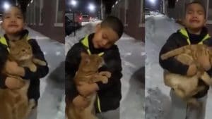 Vidéo : un garçon en pleurs supplie sa mère de ramener à la maison le chat qu'il a trouvé dans la rue