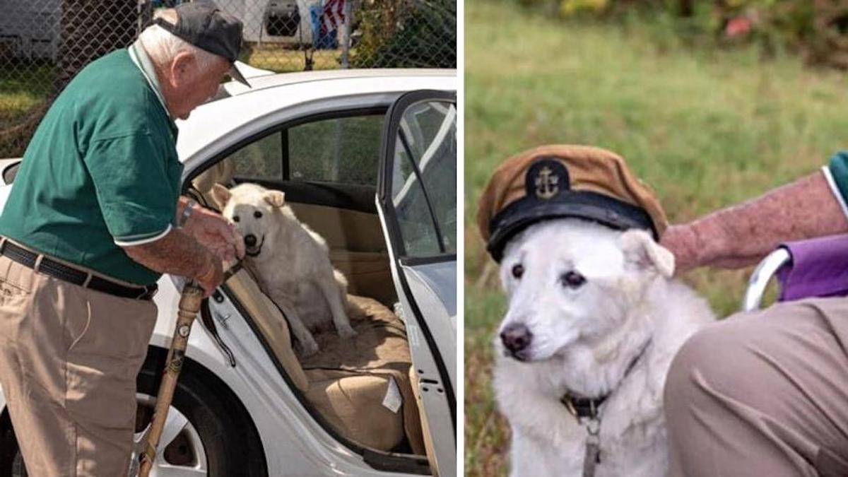 Vidéo : un homme de 90 ans adopte un vieux chien qui devait être euthanasié