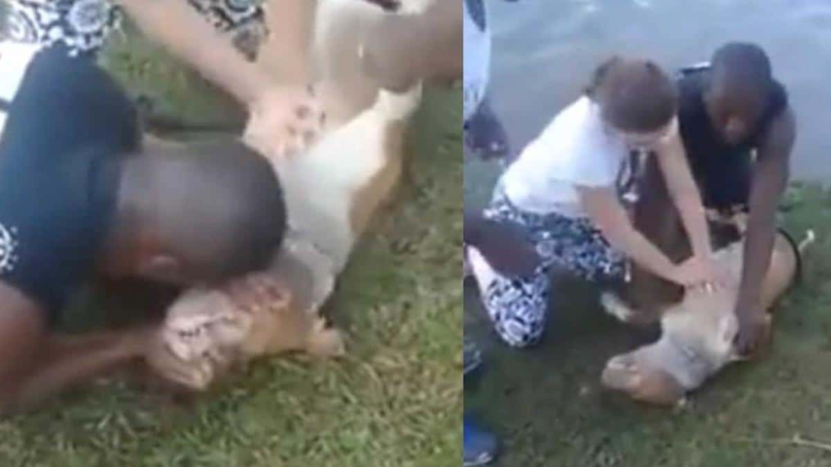 Vidéo: Un homme pleure à chaudes larmes sur son chien noyé, jusqu'à ce qu'une femme intervienne