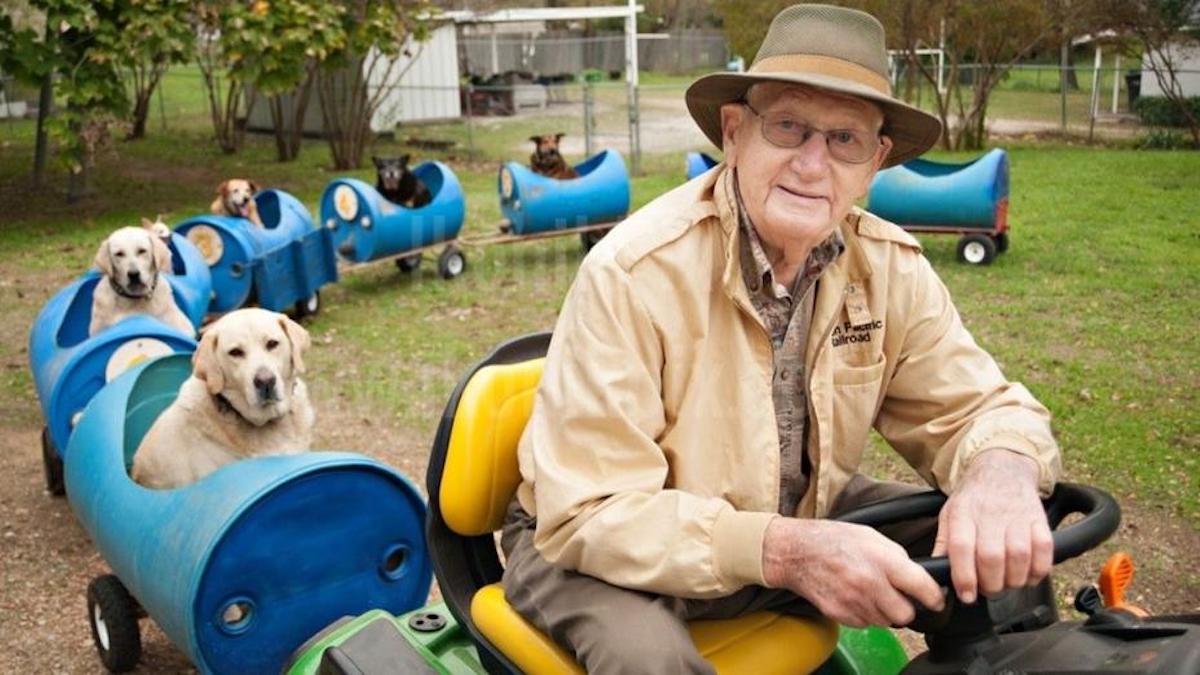 Vidéo : un vieil homme construit un train pour trouver des foyers aux chiens errants