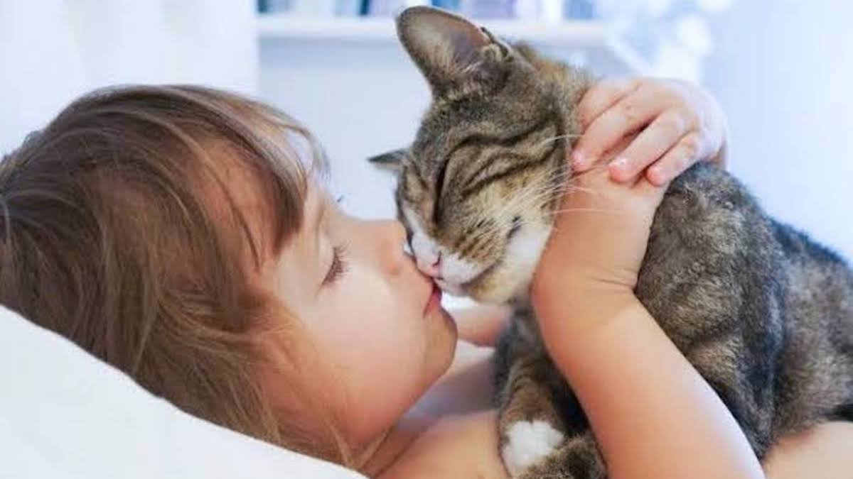 Ces signes d'affection avec lesquels votre chat vous dit "je t'aime"