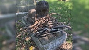 Les gens laissent des bâtons sur la tombe de ce chien de 100 ans