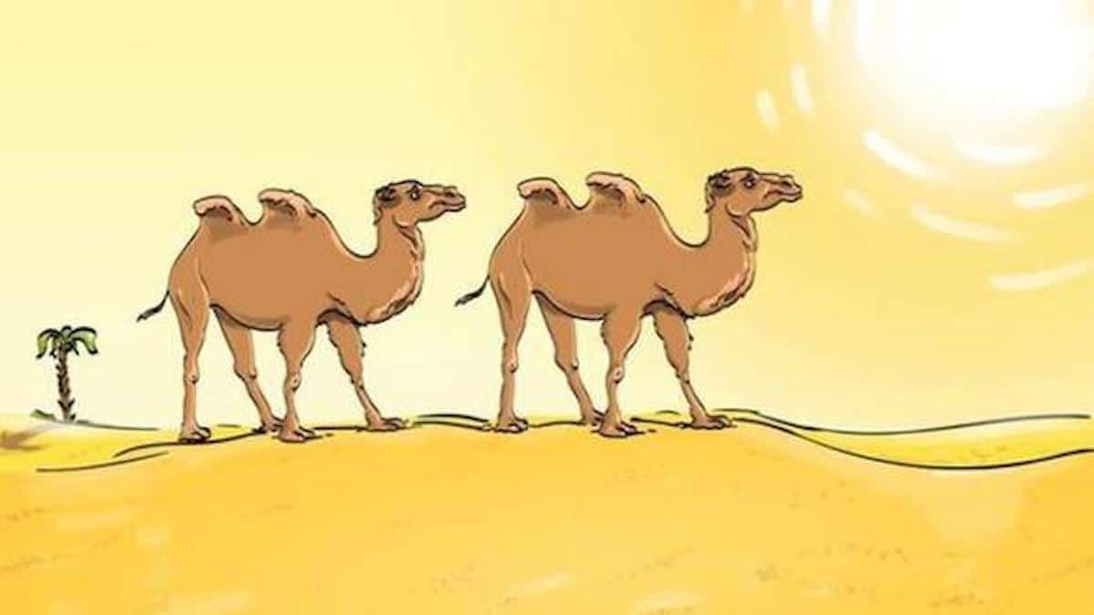 Pouvez-vous trouver l'erreur dans le défi visuel du chameau ? Vous avez 5 secondes pour le faire