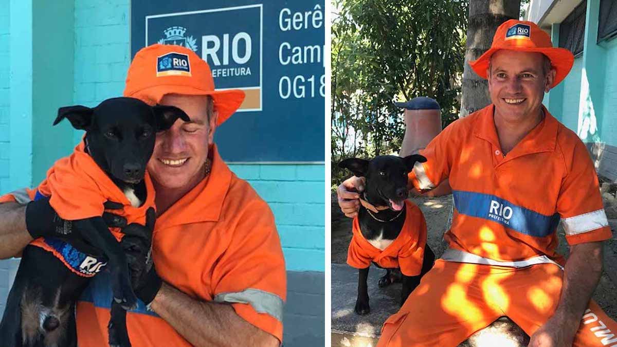 Un chien adopté par un balayeur de rue l'accompagne au travail en portant un adorable uniforme
