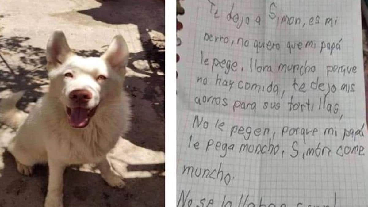 Un enfant envoie une autre lettre au chien qu'il a laissé au refuge pour le sauver de son père