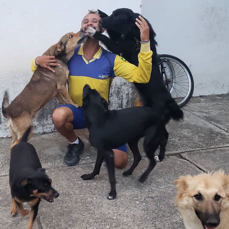 dog