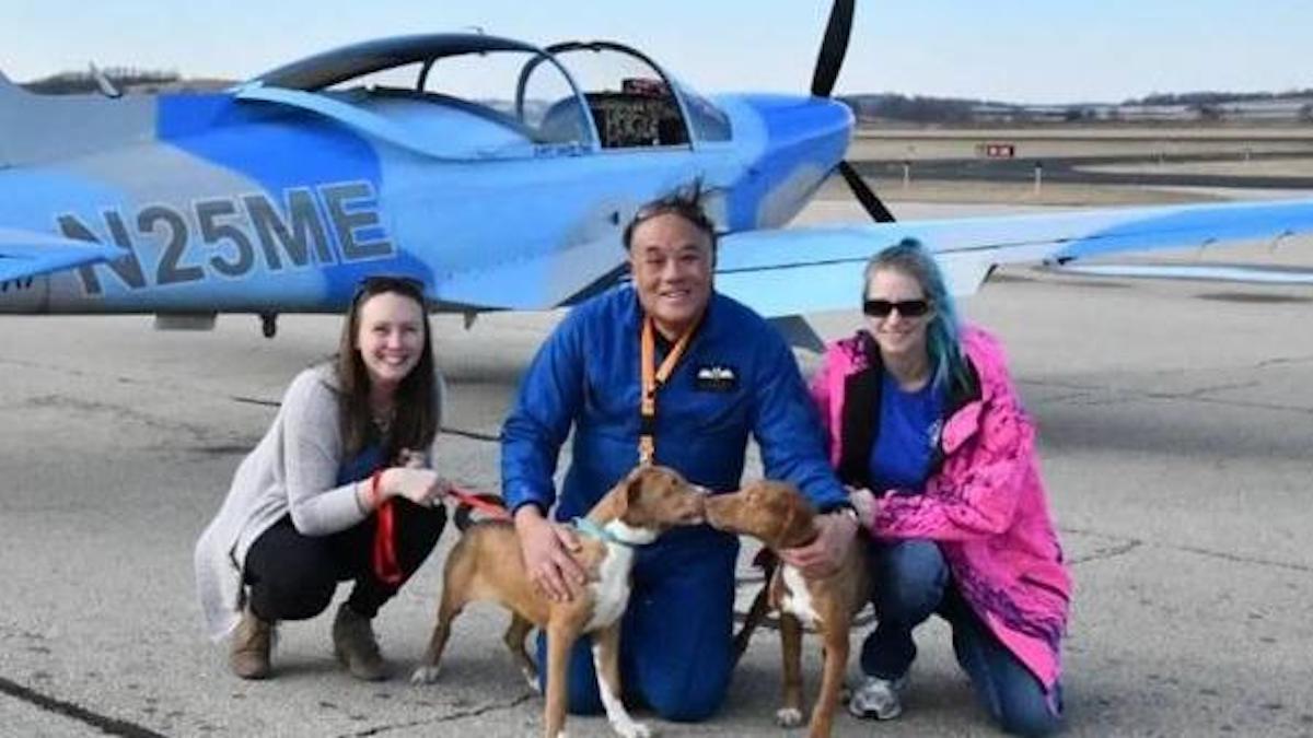 Un pilote à la retraite utilise son avion militaire pour amener des chiens de sauvetage à leurs nouvelles familles