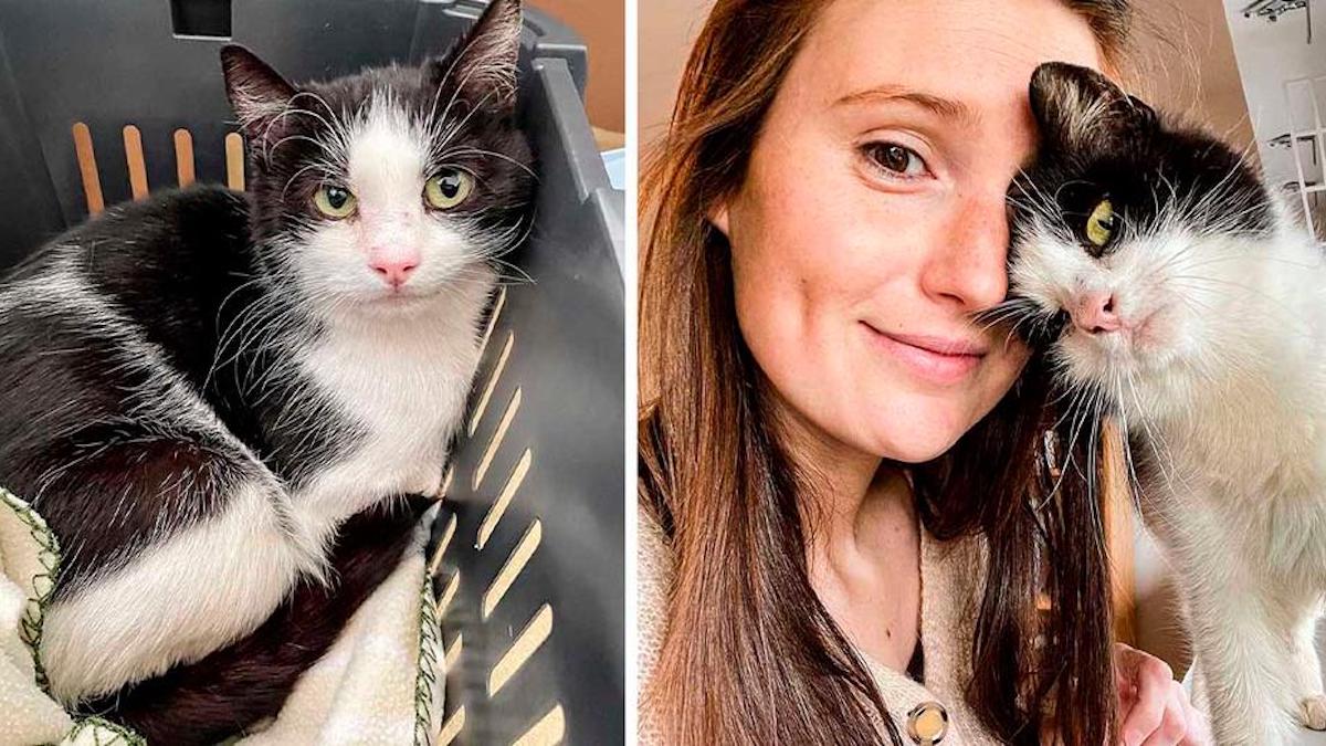 Une chatte remercie la femme qui lui a ouvert ses portes après avoir vécu dehors toute sa vie.
