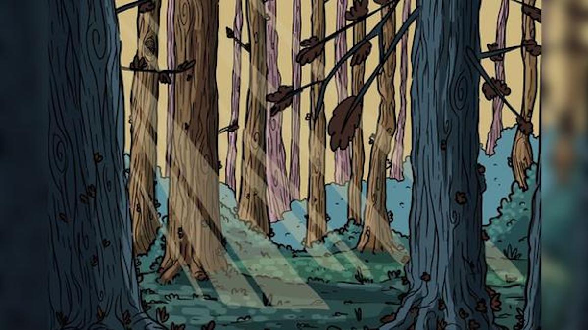 Une chouette est cachée au milieu de la forêt, vous devez la trouver pour battre ce défi viral...