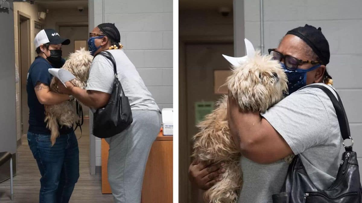 Une dame retrouve son chien âgé perdu et ne peut contenir son émotion