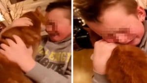 Vidéo poignante : Un enfant retrouve son chat après l'avoir perdu pendant 7 mois