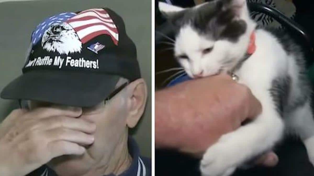 Vidéo poignante : Un homme âgé craque en racontant comment son chat lui a sauvé la vie