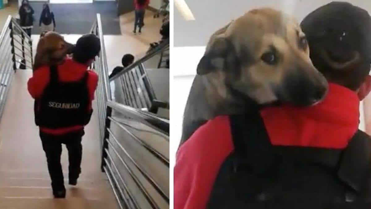 Vidéo : Un agent de sécurité félicité pour avoir gentiment transporté son chien dans ses bras hors de la maison