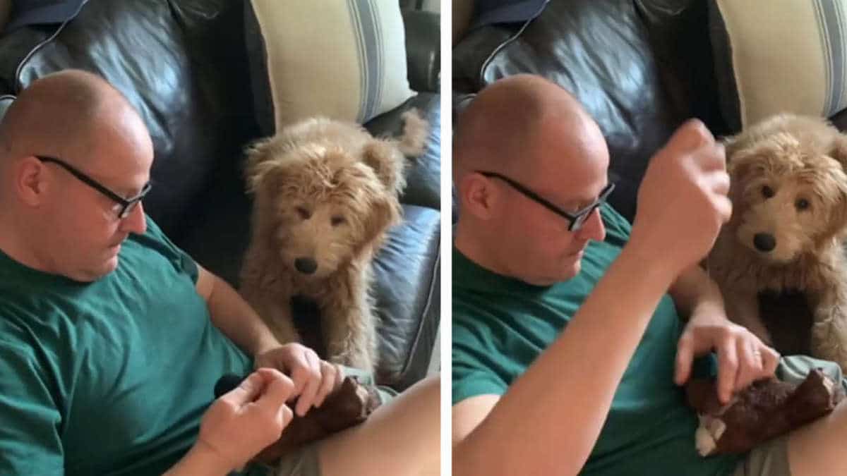 Vidéo : Un chien inquiet regarde son maître pratiquer une "opération" pour sauver son jouet préféré