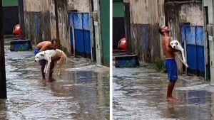 Vidéo : Un homme emmène son chien qui ne peut pas marcher pour profiter de la pluie