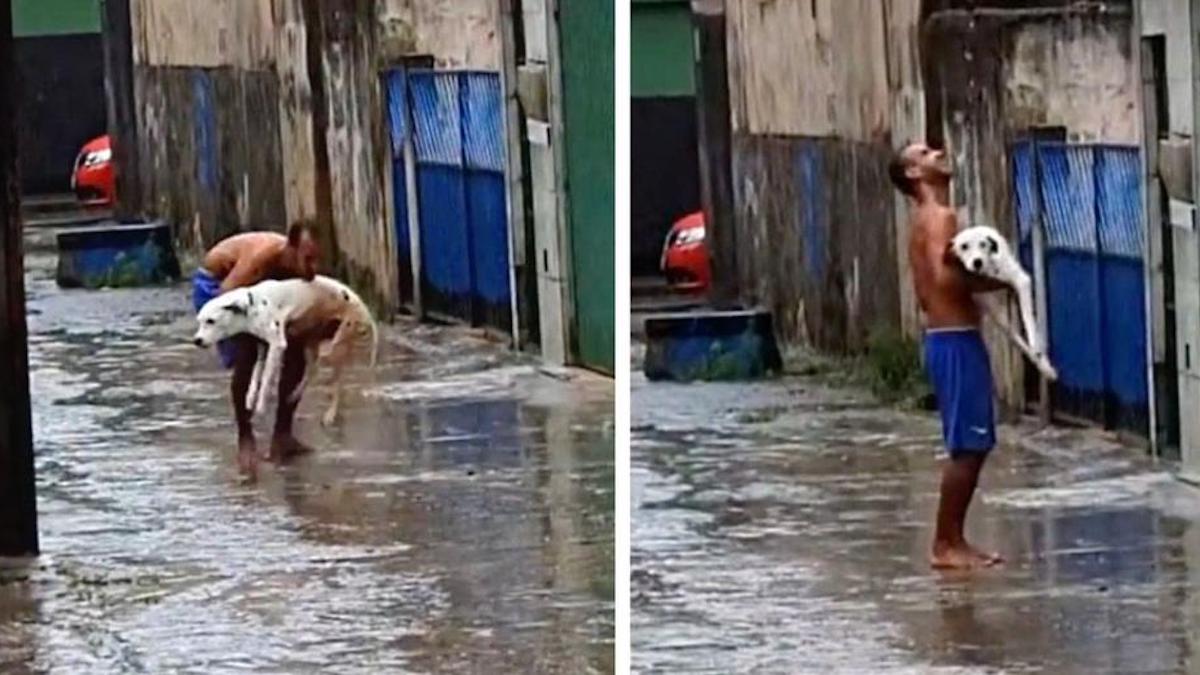 Vidéo : Un homme emmène son chien qui ne peut pas marcher pour profiter de la pluie