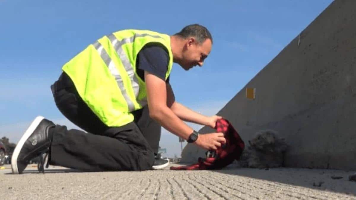 Vidéo : Un homme s'arrête au milieu de la route pour aider une chienne...