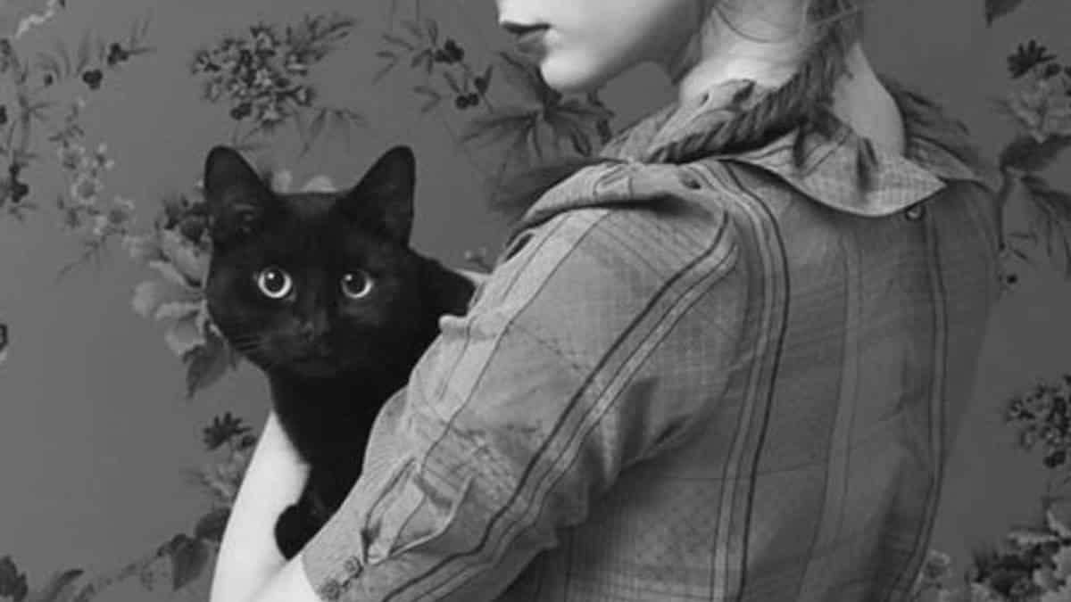 6 raisons pour lesquelles posséder un chat noir est tout sauf un signe de malchance