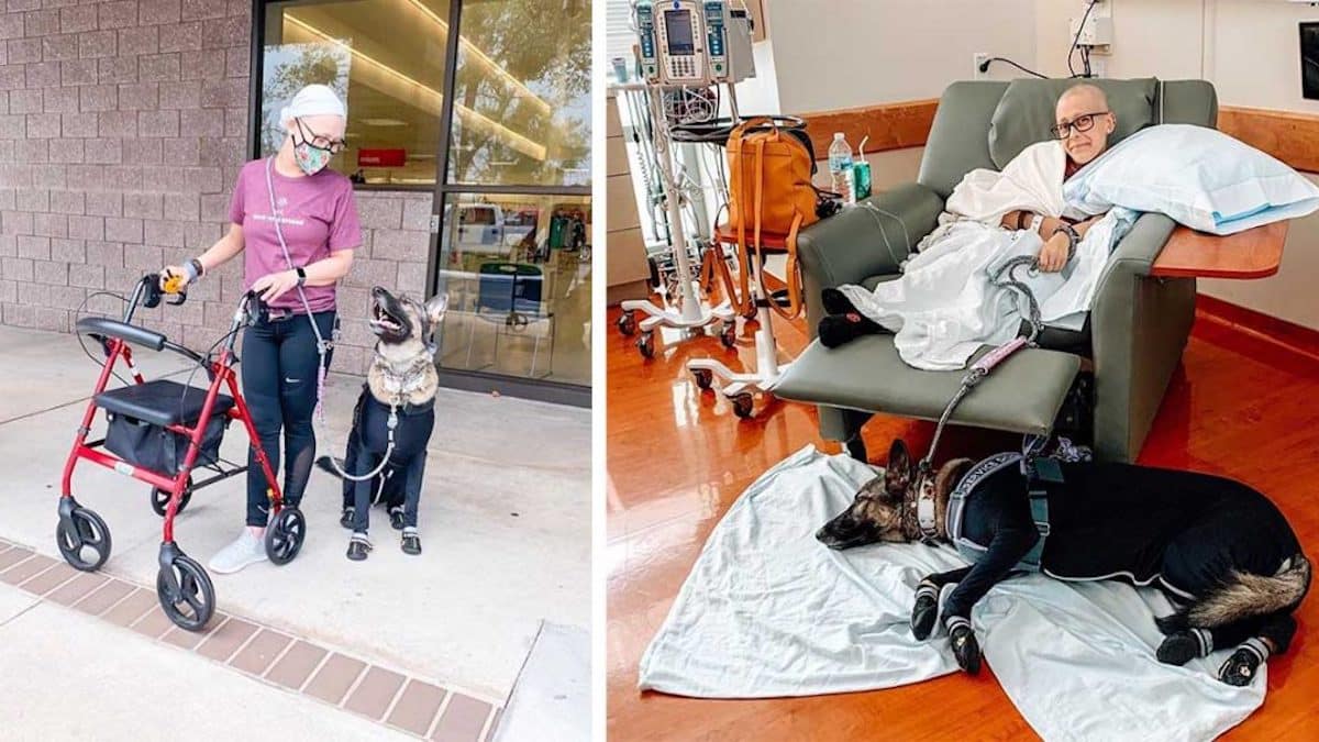 Un chien porte un costume spécial pour être avec son maître durant sa chimiothérapie