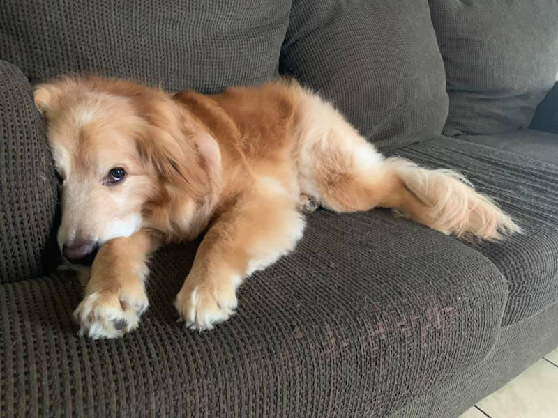 Zeus
