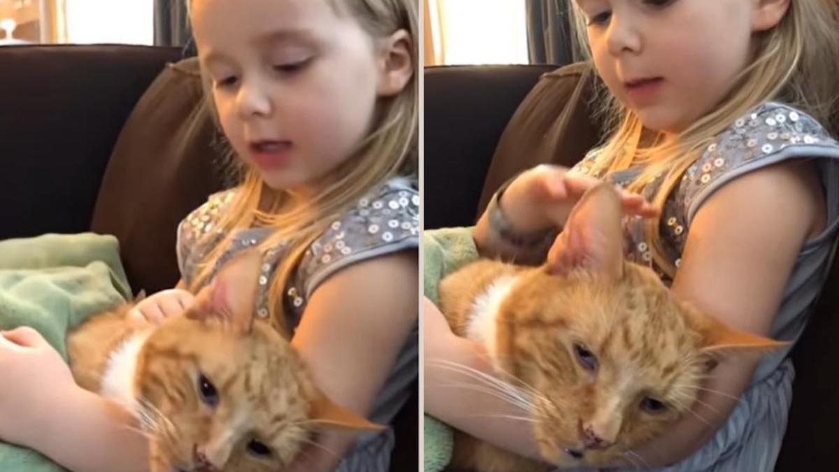 Vidéo poigante: Une fille chante une chanson émouvante à son chat avant de mourir, "Tu es mon rayon de soleil"