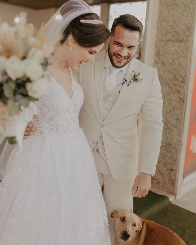 Vidéo : Un chien sans abri se présente au mariage d’un couple et fait partie de leur famille 11 mariage