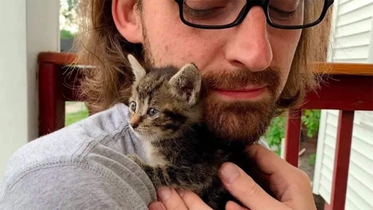 Vidéo: Un jeune homme emménage dans sa nouvelle maison, sans savoir qu'elle est livrée avec un chaton affectueux.