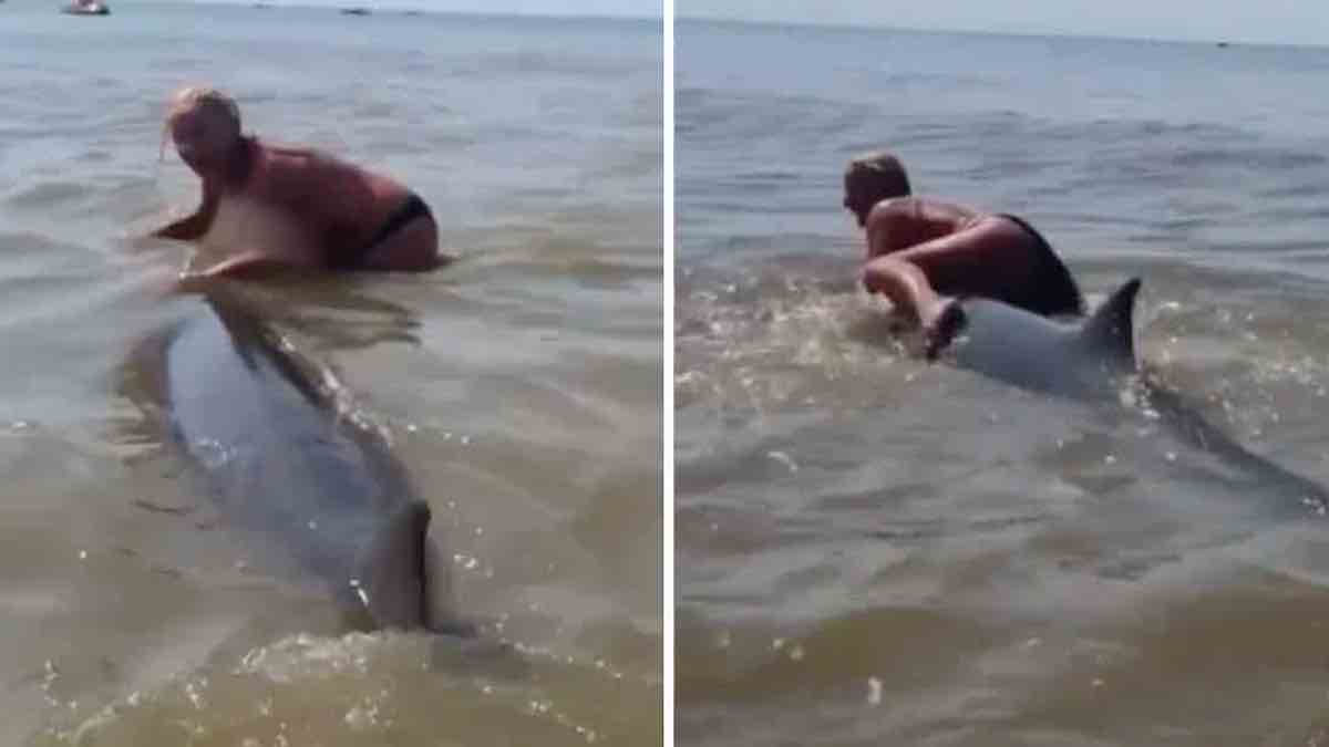 Vidéo: une femme a trouvé amusant de chevaucher un dauphin "échoué" alors que les sauveteurs tentaient de le ramener à la mer