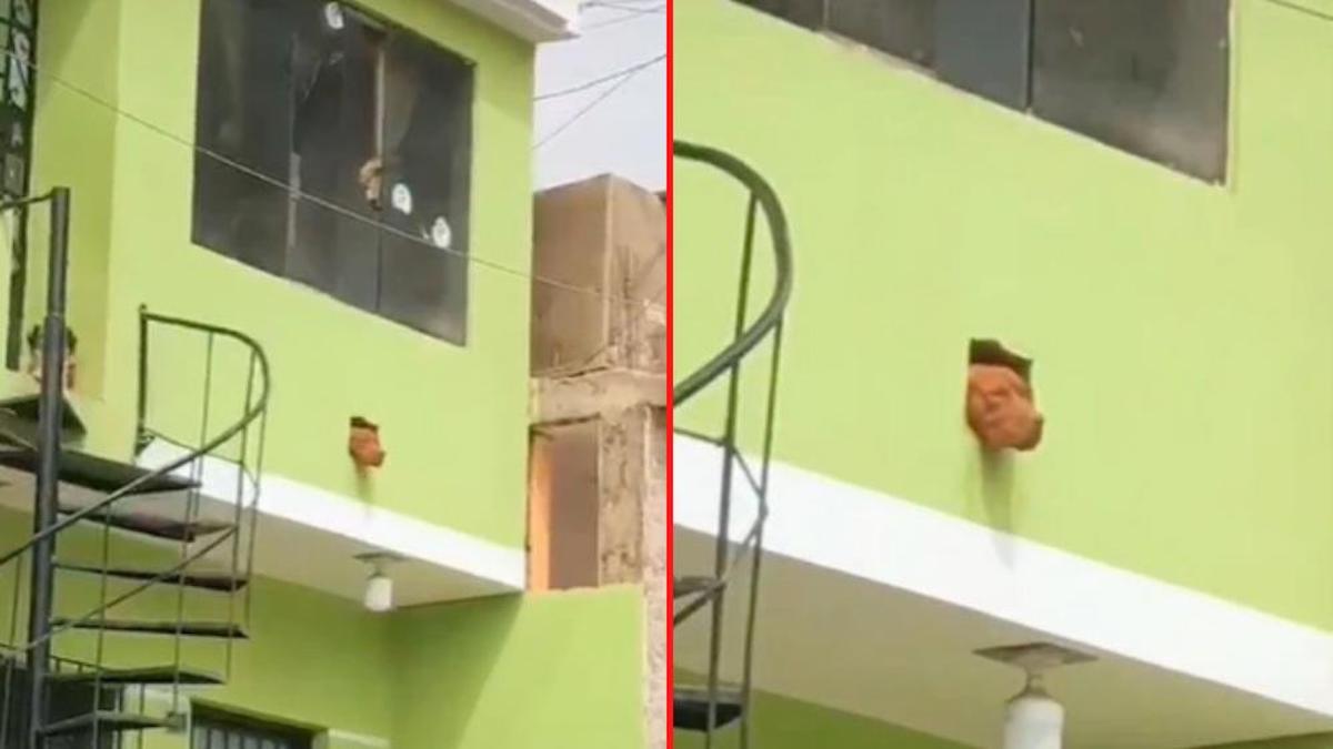 Vidéo virale : Un chien profite d'un trou au deuxième étage de sa maison pour regarder la rue