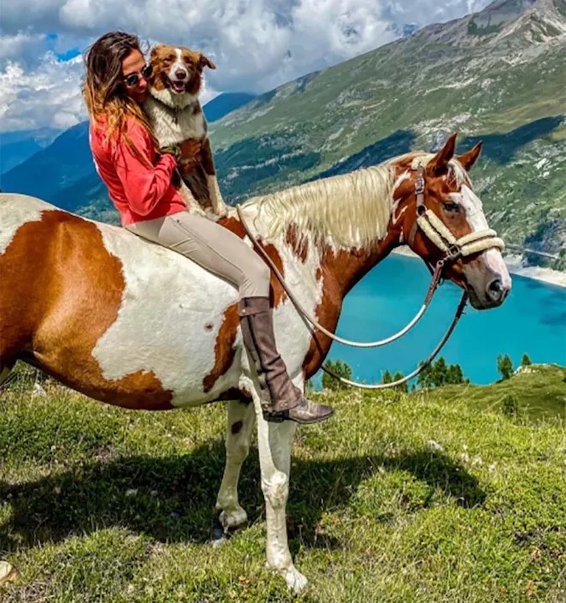 horse