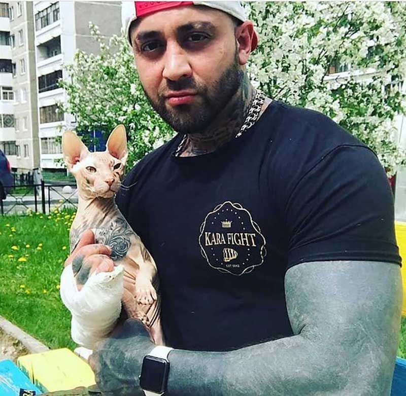 cat