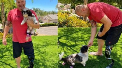 Un détective sans jambes adopte un chien avec des prothèses après avoir été maltraité