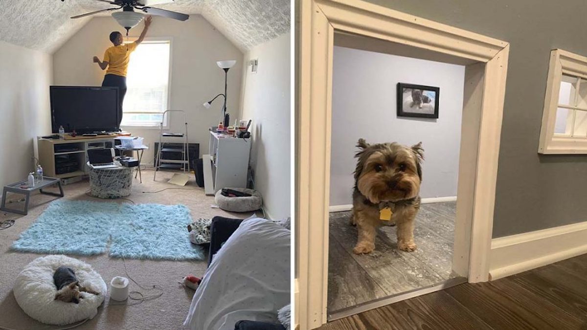 Une femme transforme une chambre d'amis en un mini "manoir" pour ses chiens