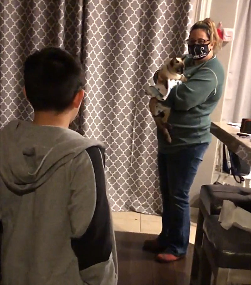 Vidéo émouvante: Un garçon ne peut retenir ses larmes lorsqu’il retrouve son chat perdu 41 garçon