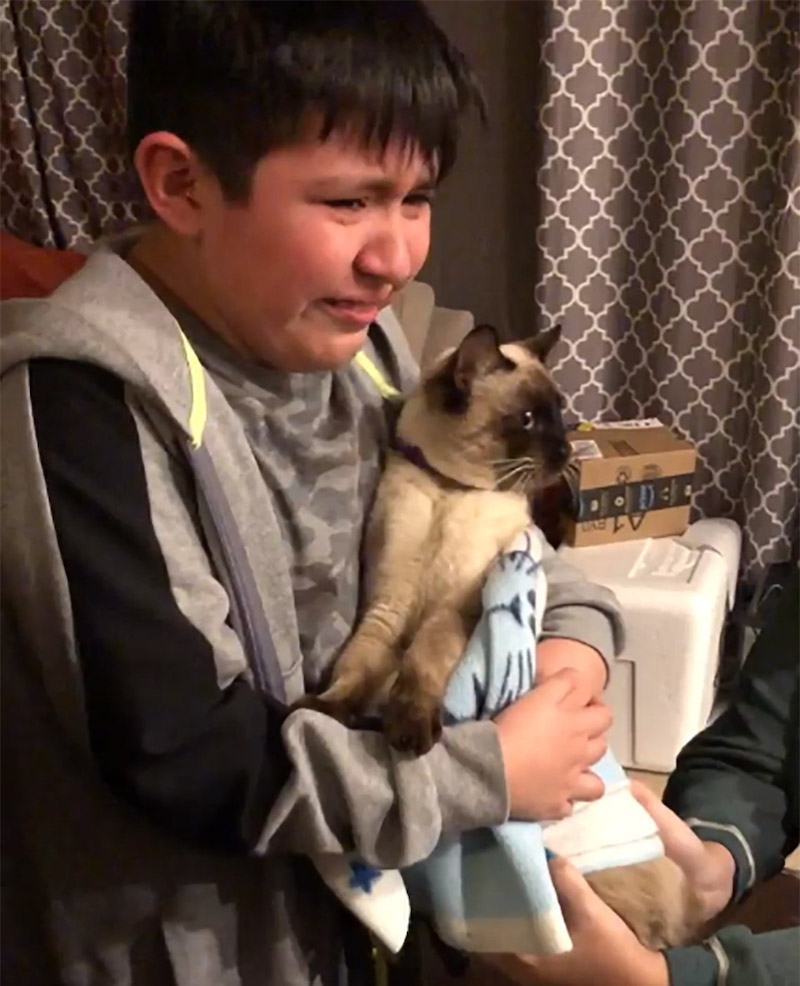 Vidéo émouvante: Un garçon ne peut retenir ses larmes lorsqu’il retrouve son chat perdu 42 chat