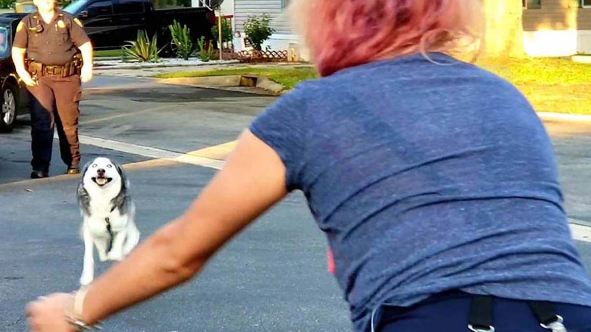 Vidéo émouvante: Une survivante d'un cancer ne pensait pas revoir son chien après 2 ans