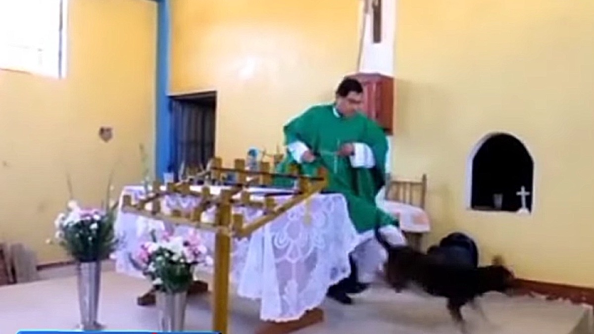 Vidéo: Le prêtre est désavoué pour avoir donné un coup de pied au chien errant qui est entré dans son église