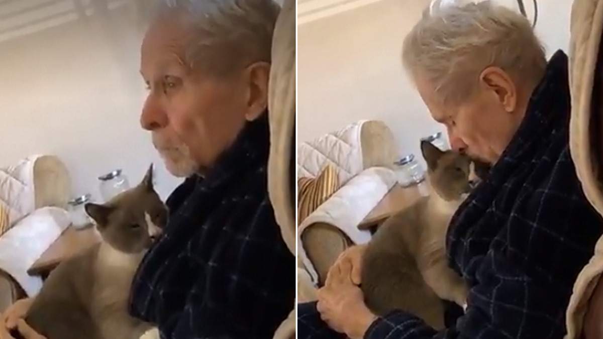 Vidéo: Un adorable chat passe toute la journée à réconforter son maître atteint de la maladie d'Alzheimer