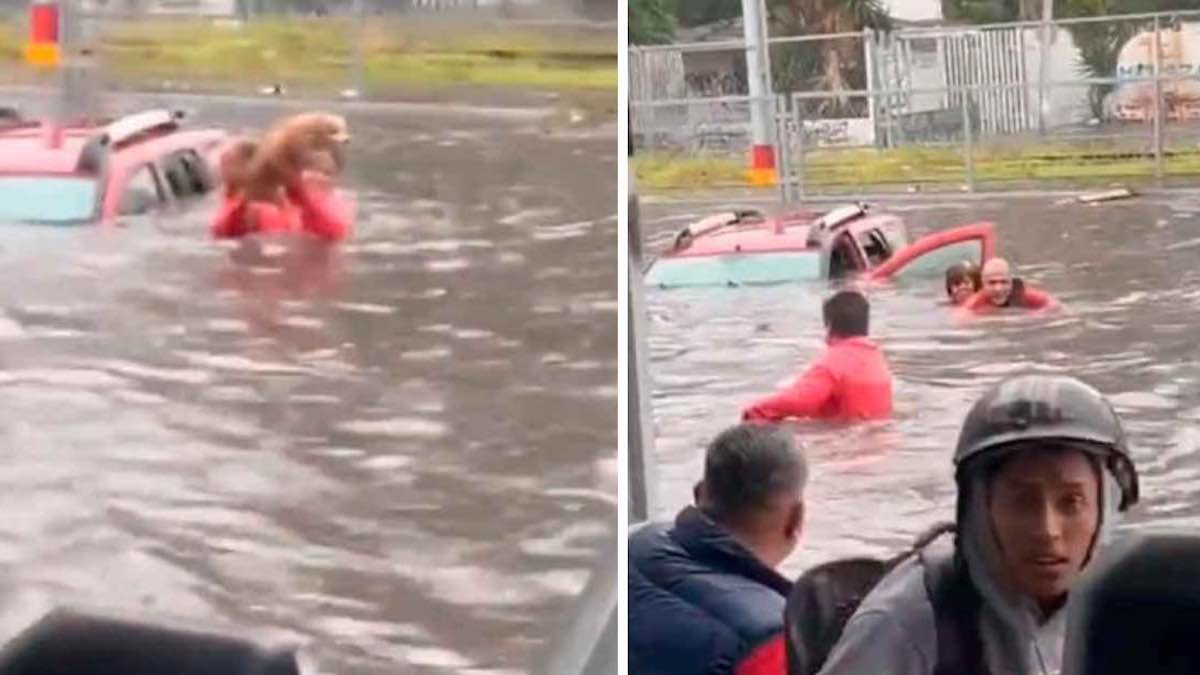 Vidéo: Un couple de personnes âgées et leur chien sauvés de la noyade lors d'une inondation