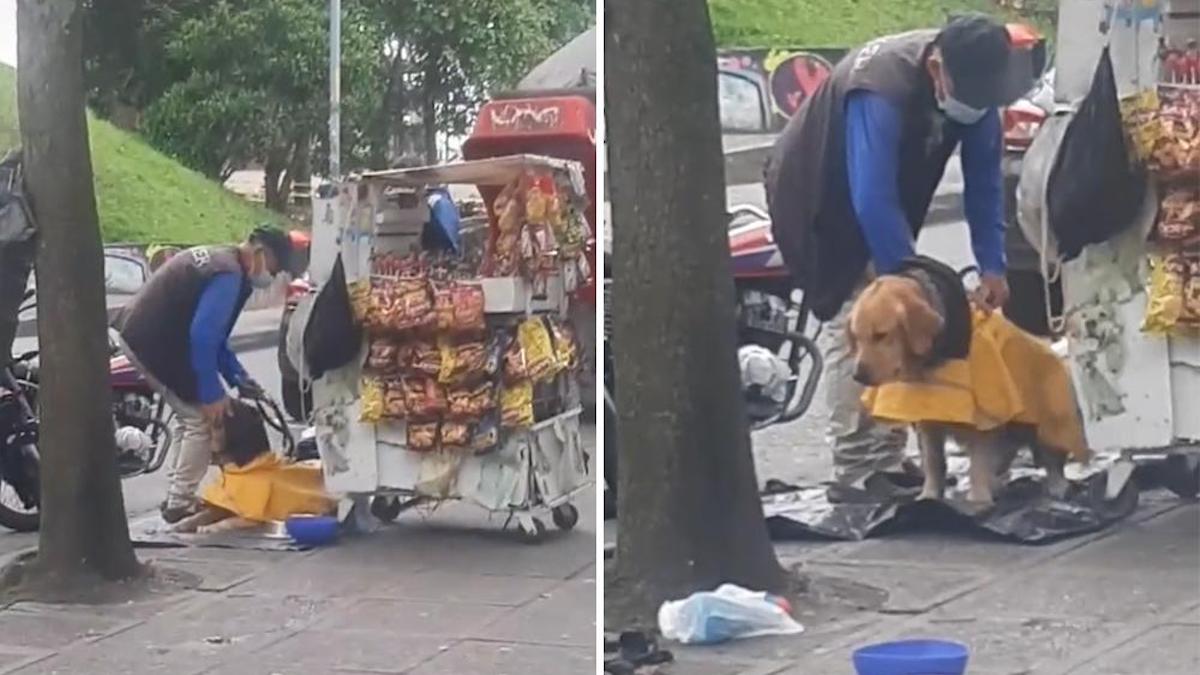Vidéo: Un homme emmène son chien au travail et lui met un lit sur le sol pour qu'il puisse se reposer