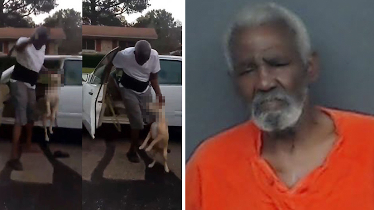 Vidéo: Un homme pris dans une vidéo virale maltraitant un chien dans la rue est arrêté