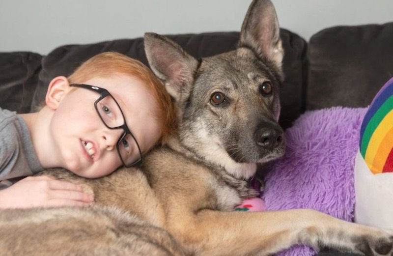 female dog