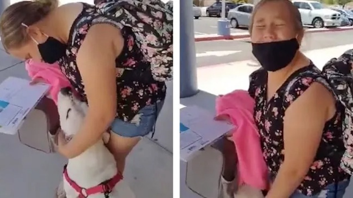 Vidéo: Une jeune fille fond en larmes en voyant sa mère avec le chien de refuge qu'elle a vu sur Internet