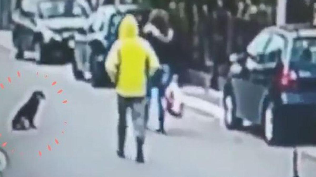 Vidéo virale : une jeune femme est agressée dans la rue et un chien n'hésite pas à la défendre